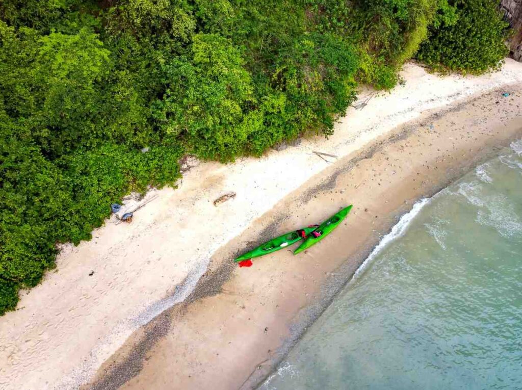 aerial view of two kayaks on beach shore near water