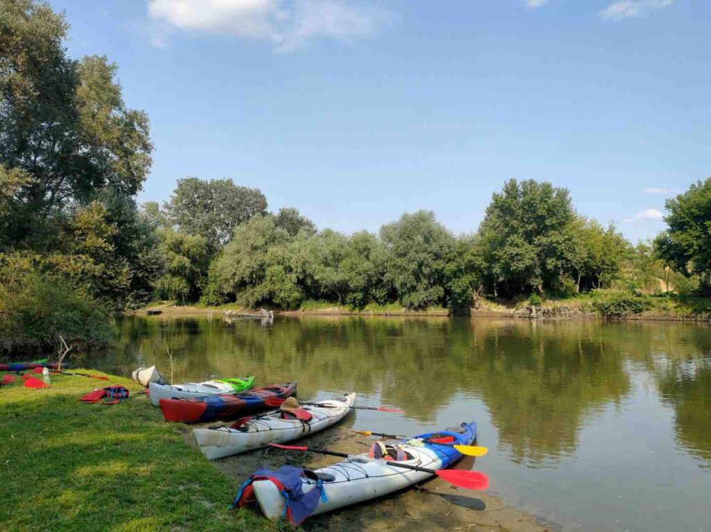 Multiple kayaks stored flat on ground near a river