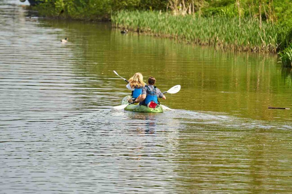  A man and young girl paddling a green tandem kayak together on a calm river lined with reeds and ducks