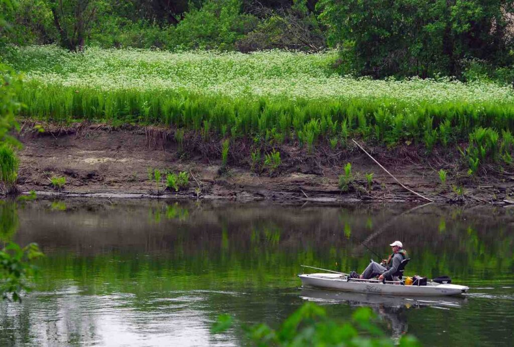 Man fishing from a white Hobie pedal kayak on a calm green river lined with ferns and wildflowers
