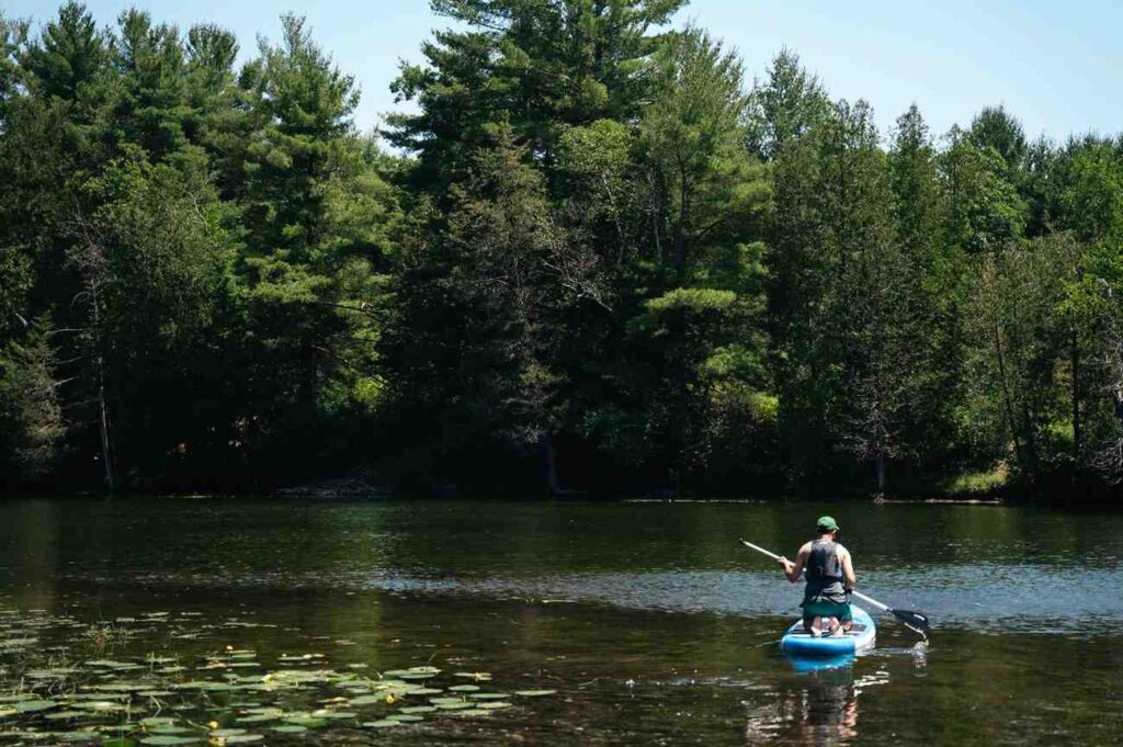 A person paddling an inflatable kayak on a quiet lake surrounded by tall pine trees with lily pads in the foreground
