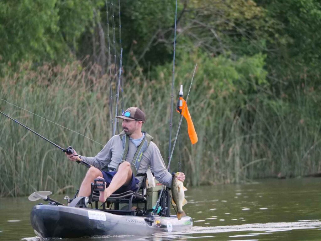 A man holding a caught bass fish while sitting in a fully rigged pedal kayak near reeds with multiple fishing rods and safety flag mounted