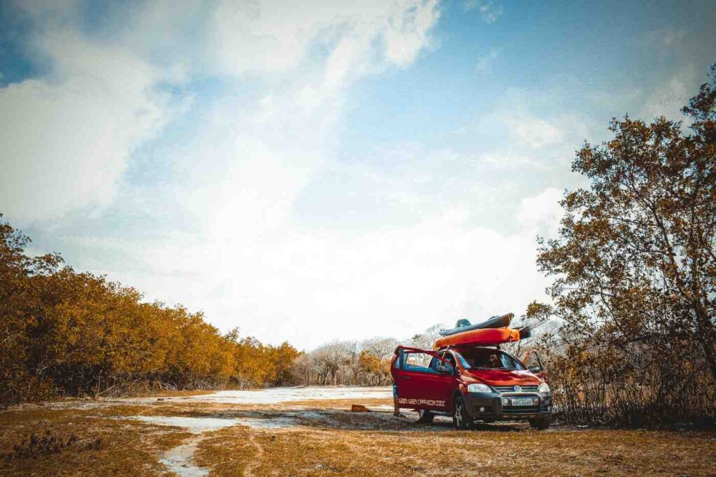 A red Volkswagen car with a kayak secured on the roof rack parked in an open area surrounded by dry trees