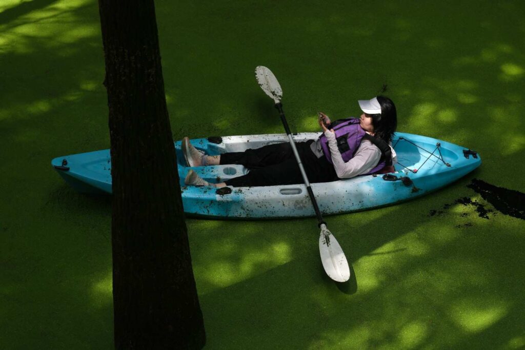 A woman lying back relaxed in a blue sit-on-top kayak on green algae covered water in summer heat wearing a visor and life vest