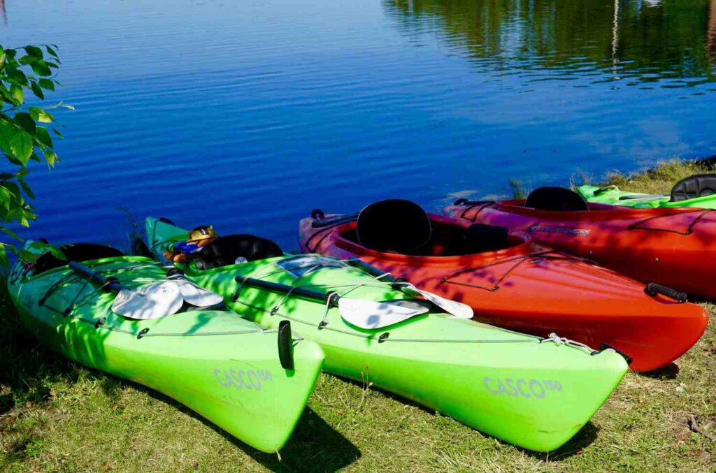 Multiple narrow green and red recreational kayaks lined up on grass near a calm lake with paddles resting on them