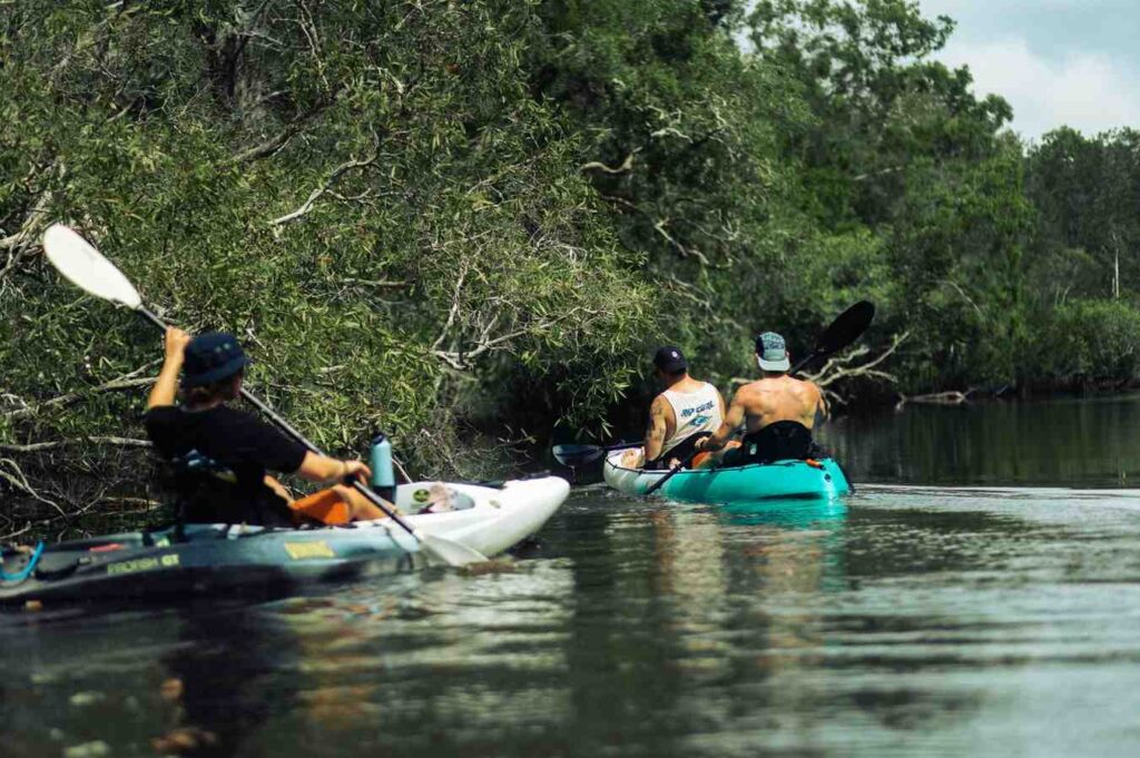 Group of anglers paddling fishing kayaks together through mangrove channel correcting course