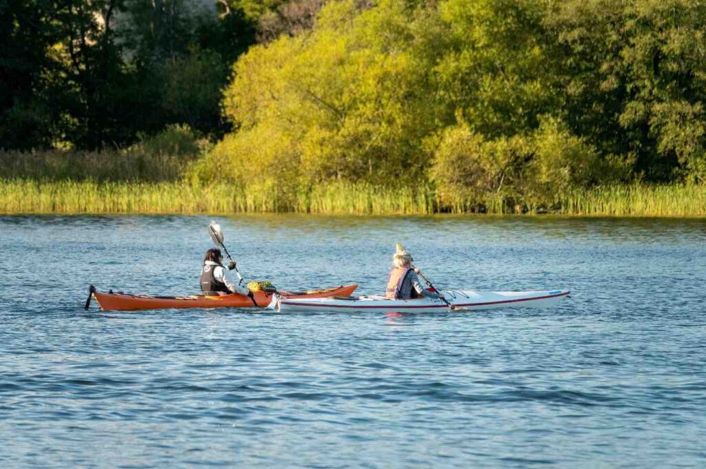 Two kayakers paddling calmly across a lake near shoreline reeds and trees