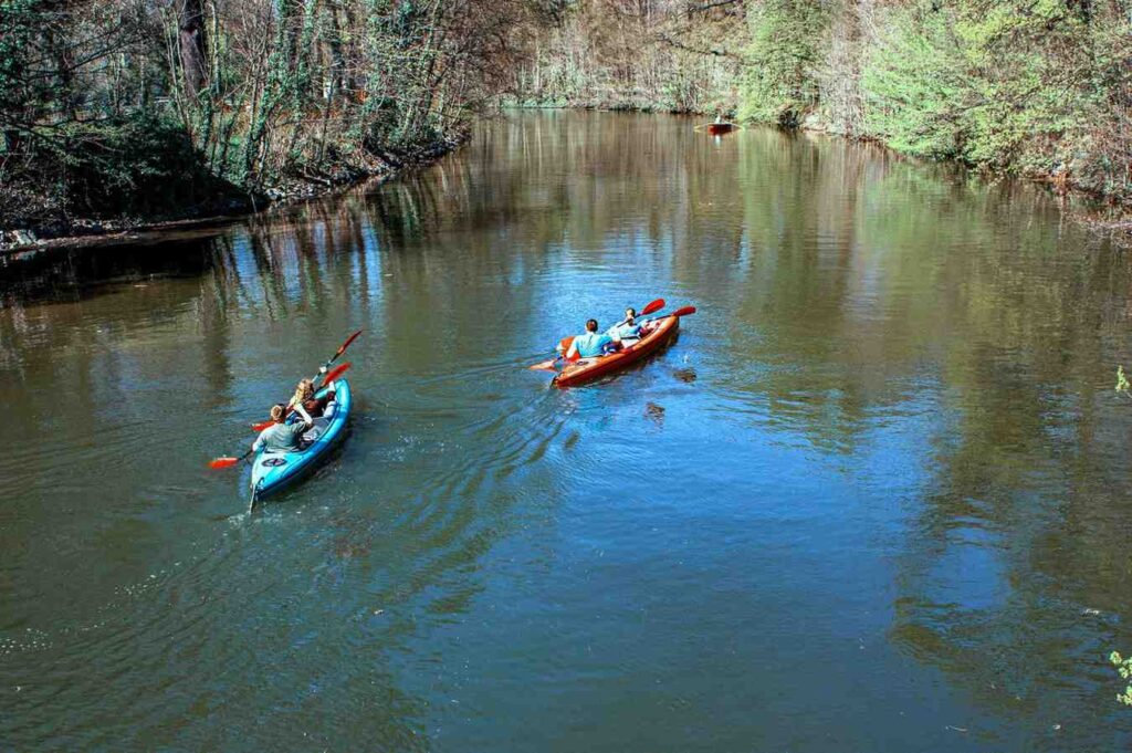 Multiple recreational kayaks paddling together down a calm river surrounded by trees