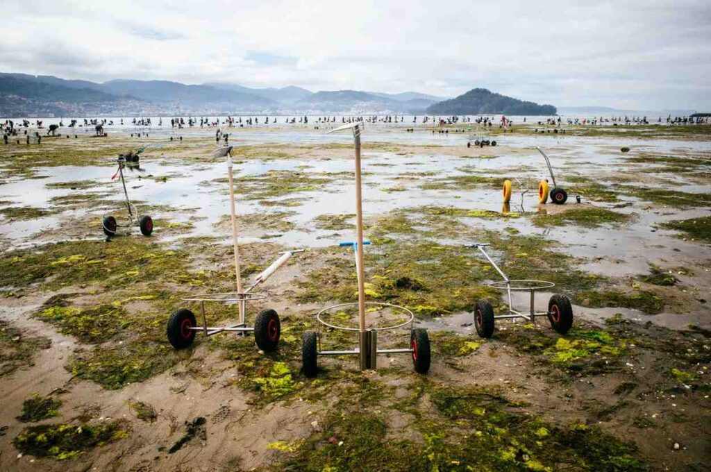 Multiple kayak carts with different wheel sizes=