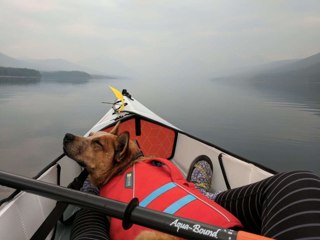 Relaxed dog resting its head on a red life jacket inside a kayak on calm, misty water