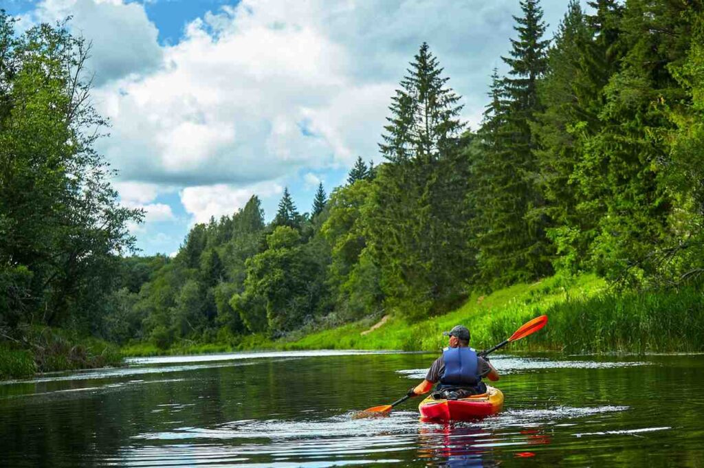 Kayaker paddling calmly down a peaceful forest river, relaxed and confident on the water